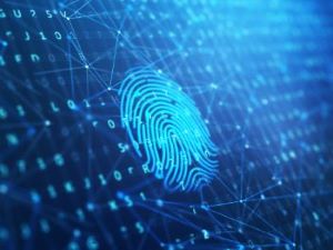 Image illustrating identifying measures for fingerprinting